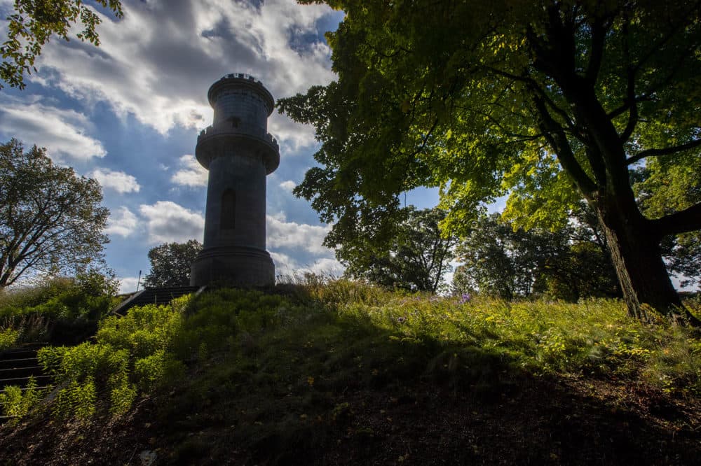 Washington Tower casts a shadow on Mount Auburn in Mount Auburn Cemetery. (Jesse Costa/WBUR)