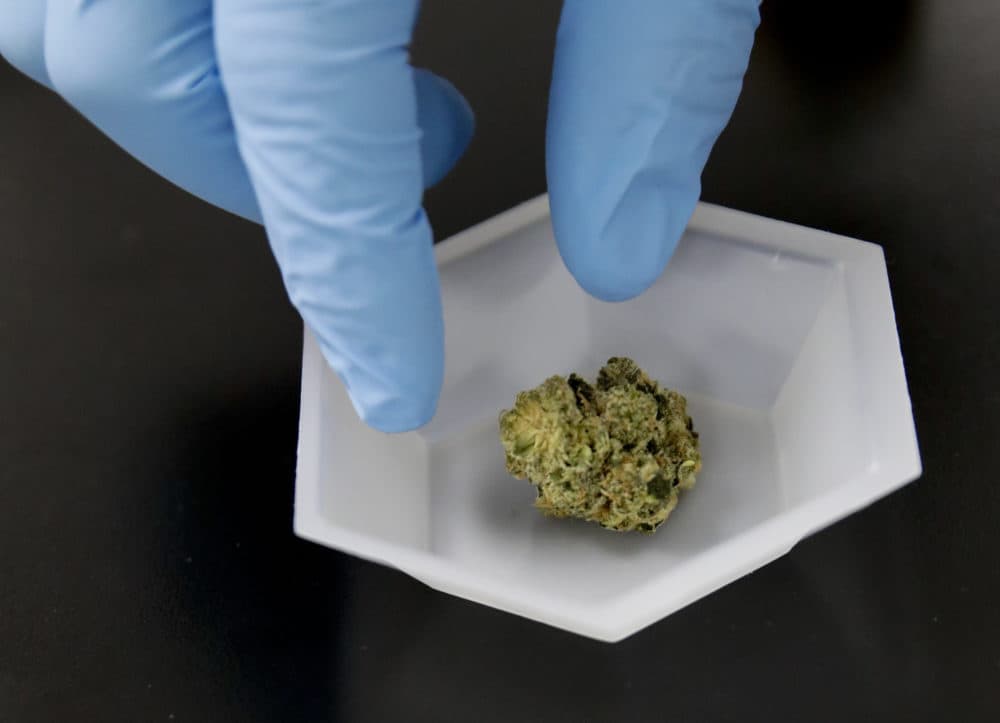 A marijuana sample is set aside for evaluation at Cannalysis, a cannabis testing laboratory, in Santa Ana, Calif. (Chris Carlson/AP)