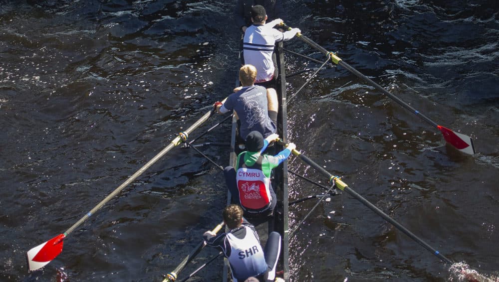 Rowers train on the Charles River two days before the Head of the Charles Regatta. (Jesse Costa/WBUR)