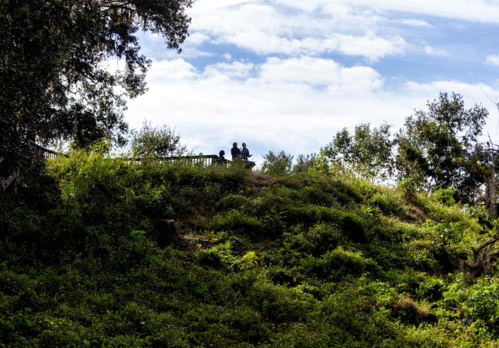 Here & Now's Robin Young and Karyn Miller-Medzon interview archaeologist Barbara Clark at the Lake Jackson Mounds Archaeological State Park in Tallahassee. (Mark Wallheiser for Here & Now)