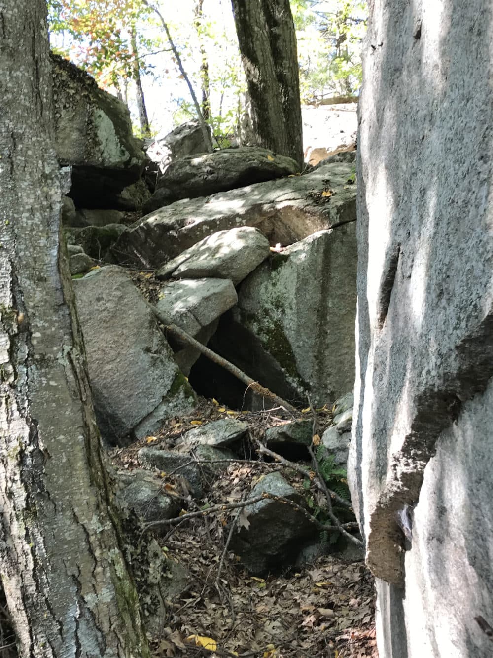Local historians say in 1693 some people suspected of witchcraft traveled to the woods in the Framingham/Ashland area to hide in the "witch caves." (Deborah Becker/WBUR)