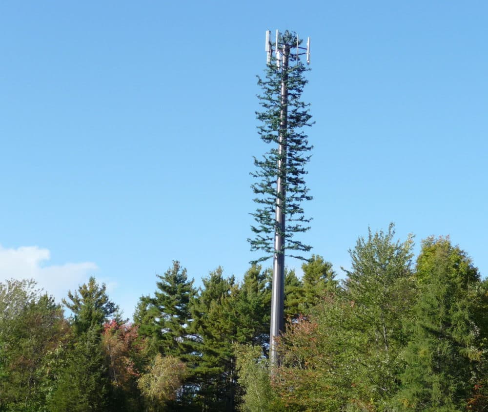 Cell phone tower with very obviously fake vegetation glued to it
