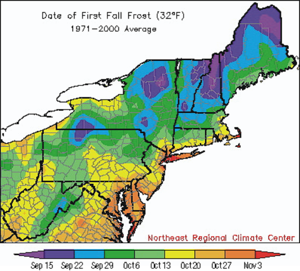 forecast-more-summer-warmth-wednesday-wbur-news