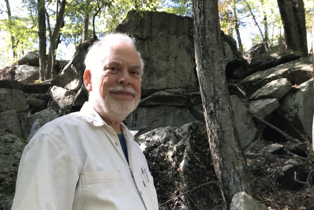 Rob St. Germain, a member of the Ashland Town Forest Committee, takes visitors into the woods in Ashland to view the "witch caves." (Deborah Becker/WBUR)