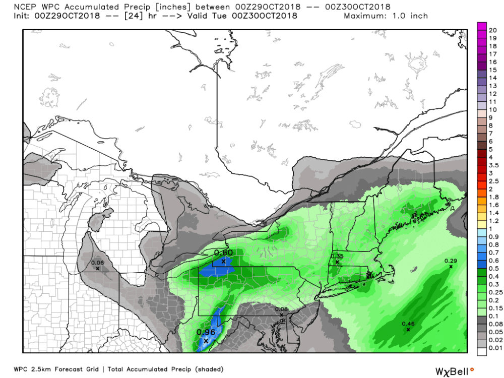 A tenth to a third of an inch of rain is likely this morning. (Courtesy WeatherBell)
