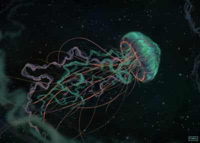 "Space Jellyfish" by u/Flufs