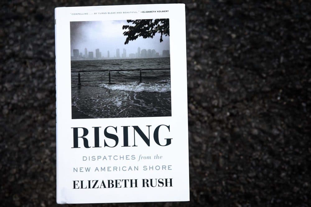 Rising - Dispatches From The New American Shore, by Elizabeth Rush. (Robin Lubbock/WBUR)