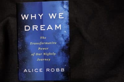 "Why We Dream — The Transformative Power Of Our Nightly Journey," by Alice Robb. (Robin Lubbock/WBUR)