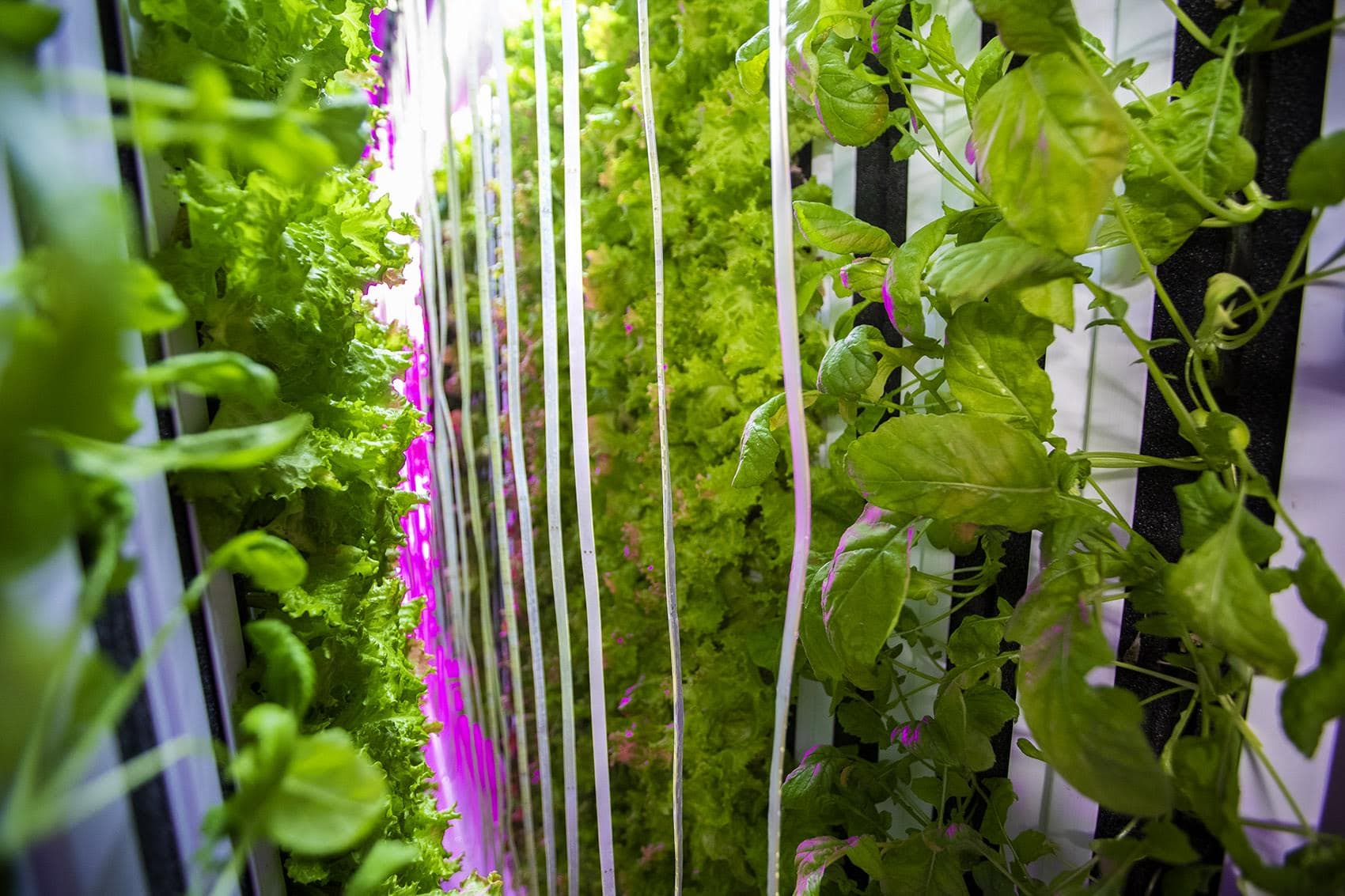 Investments In AgTech Are Growing Fast. What's Got Investors Betting On ...