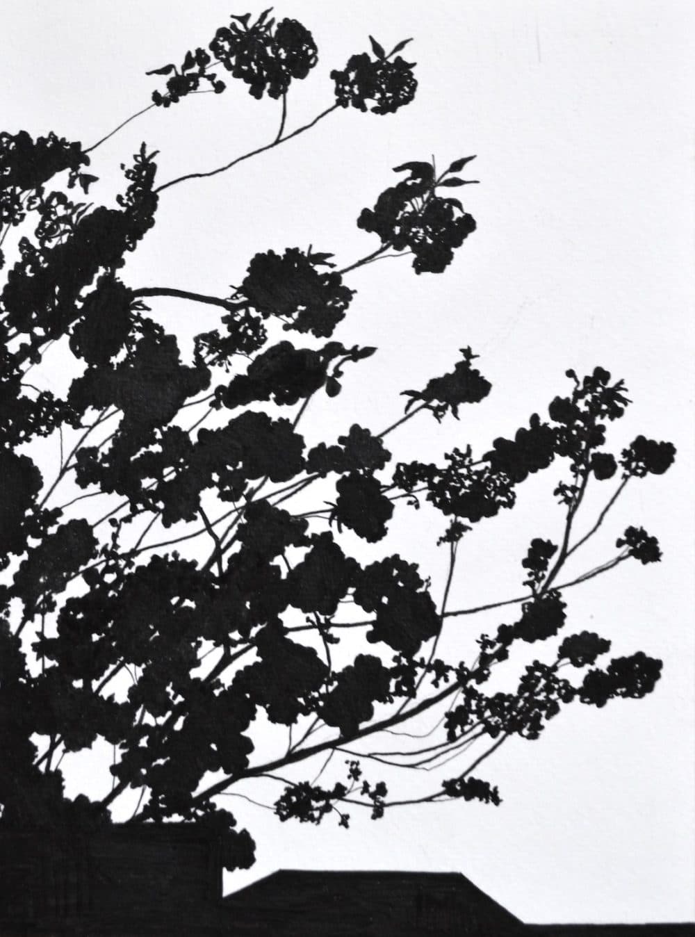 Jessica Beck's "In Bloom." (Courtesy of the artist)