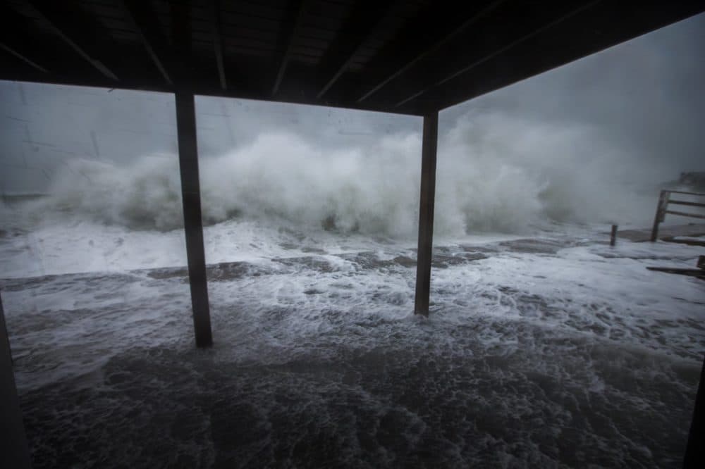 (Jesse Costa/WBUR)