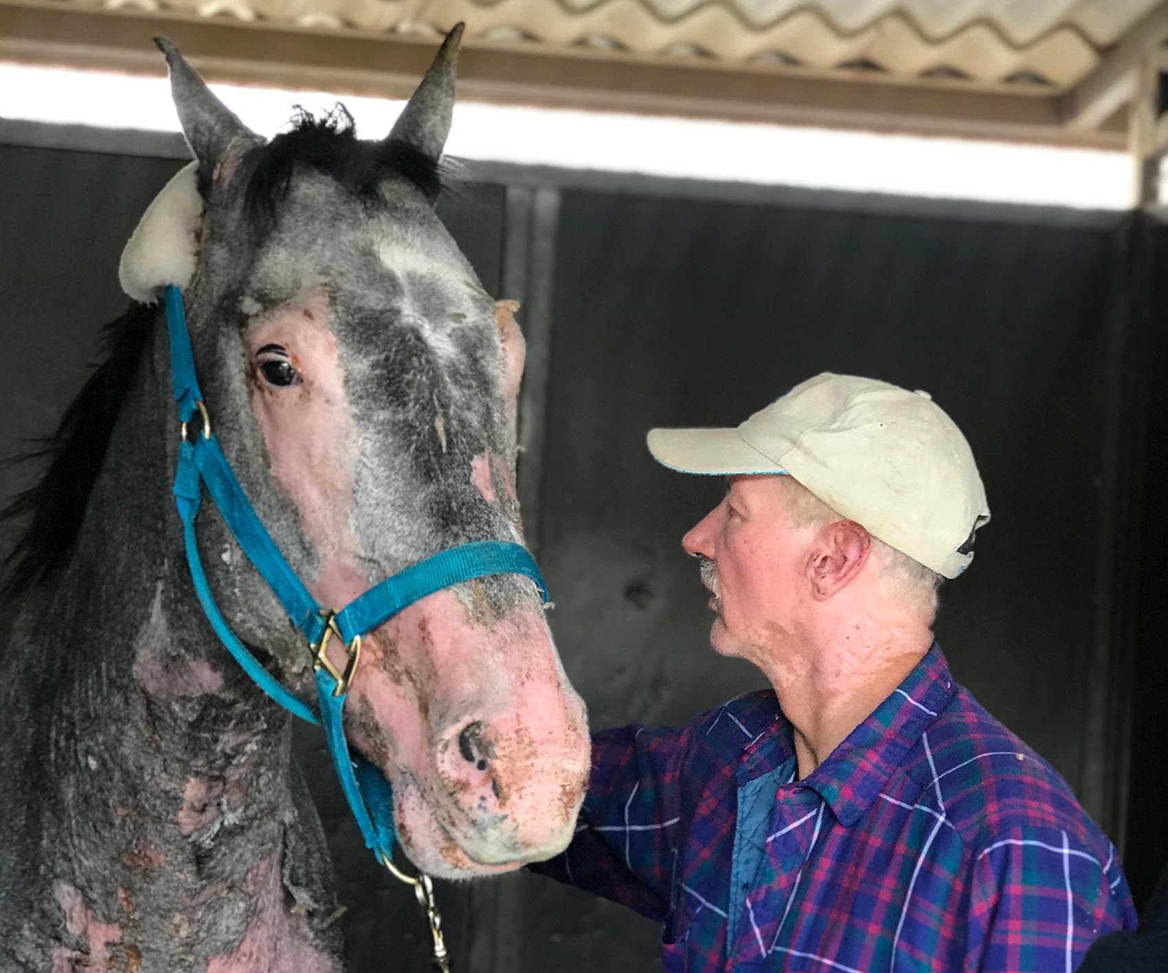 He Saved His Horse From A Wildfire They Helped Each Other Heal