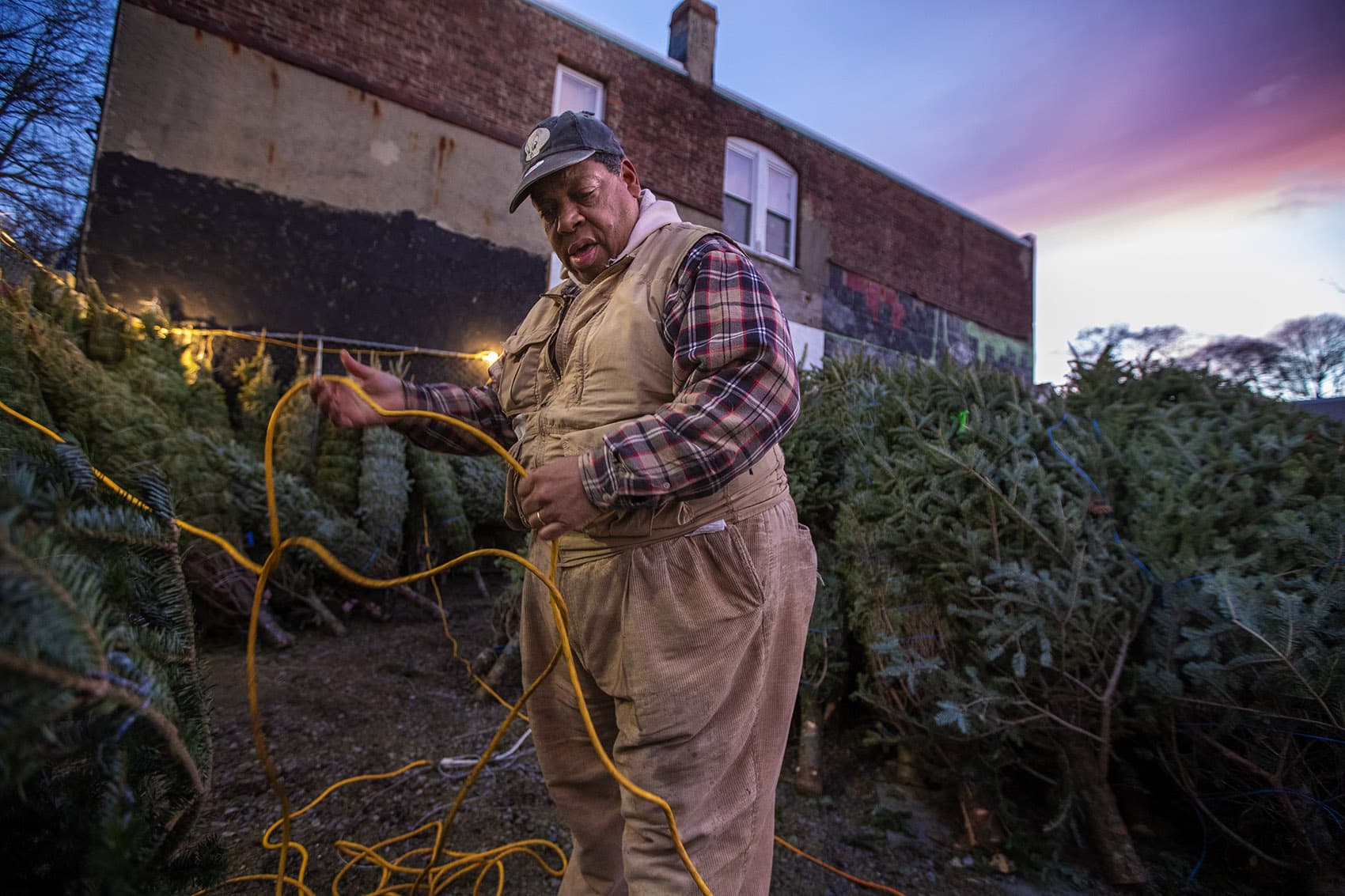 Dannie Kelly is surrounded by Christmas trees as he prepares to open his lot in Four Corners for this holiday season. (Jesse Costa/WBUR)