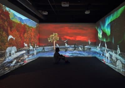 Allison Maria Rodriguez's "Wish You Were Here: Greetings from the Galápagos" video installation at the Boston Children's Museum. (Courtesy Stewart Clements)