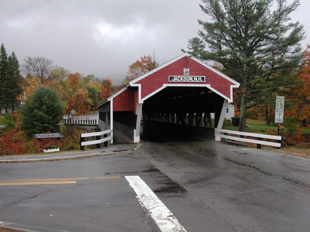 Jackson, N.H. (piercepub/Pixabay)