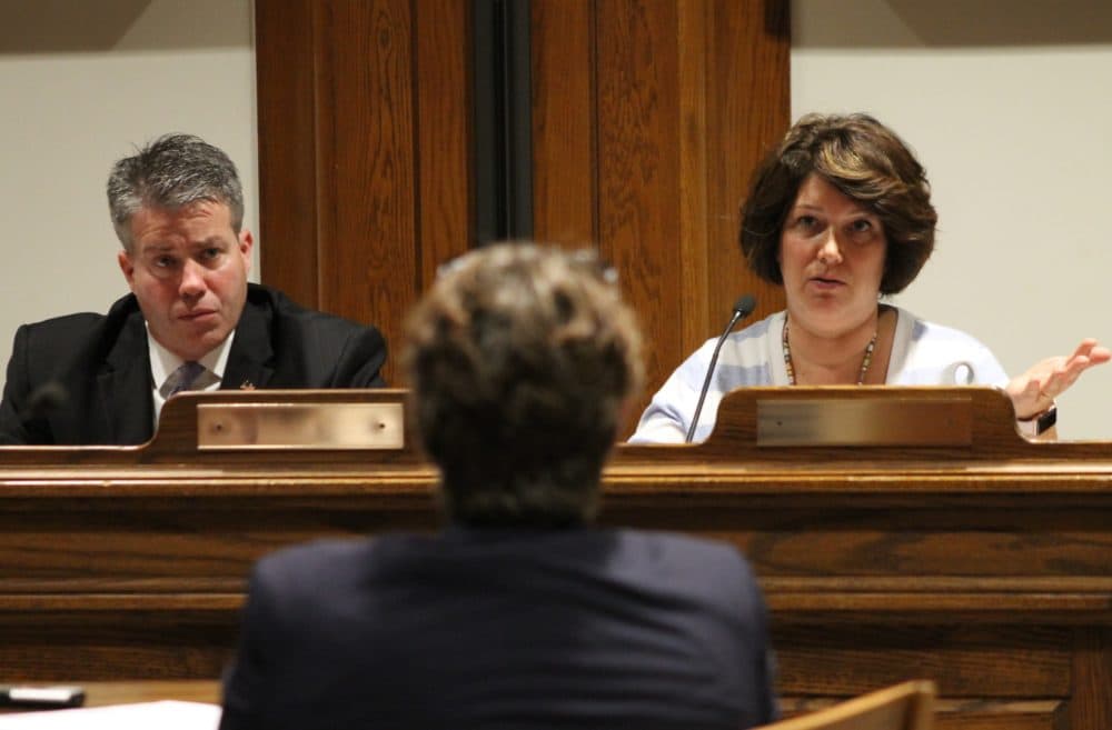 Sen. Walter Timilty of Milton and Rep. Jennifer Benson of Lunenburg chaired the Special Legislative Commission on Public Records. (Sam Doran/SHNS/File 2018)