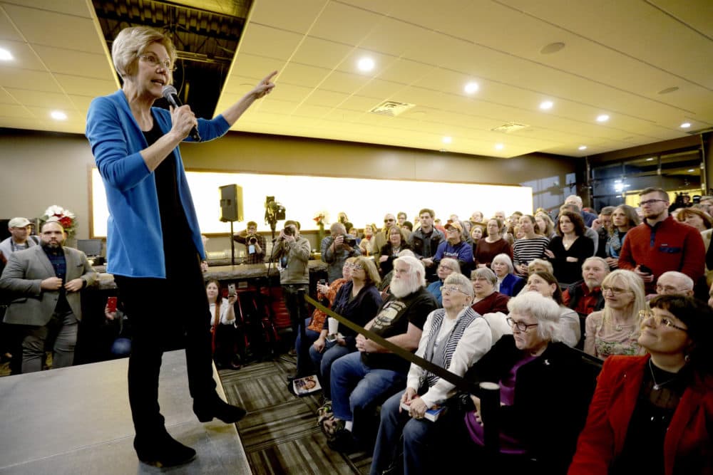 Sen. Elizabeth Warren, D-Mass, speaks during an organizing event at McCoy's Bar Patio and Grill in Council Bluffs, Iowa, Friday, Jan. 4, 2019. (Nati Harnik/AP)