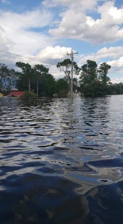 Duplin County after the storm. (Courtesy Julie Davis, Wallace-Rose Hill High School)