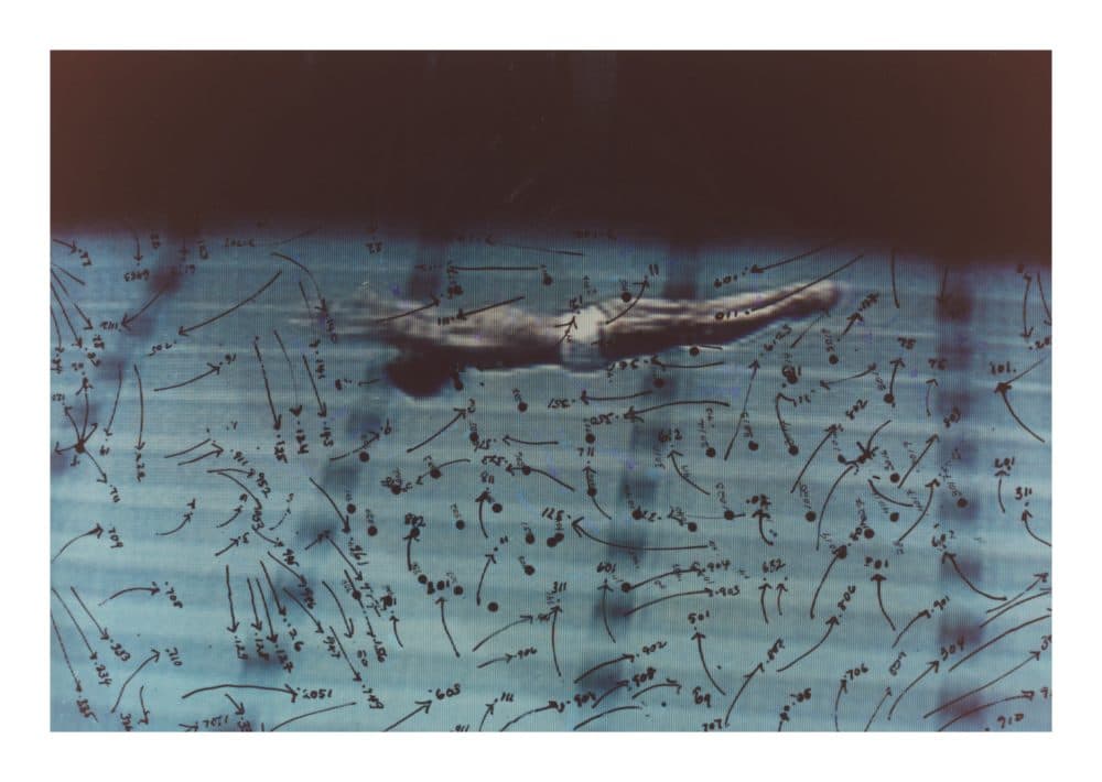 Howardena Pindell's "Video Drawings: Swimming," made in 1975. (Courtesy Museum of Contemporary Art Chicago; Garth Greenan Gallery, New York)