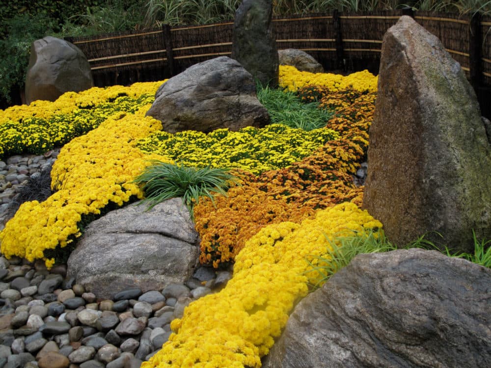 Japanese rock gardens mix flora with interesting stone placements to convey peace and contemplation. Super Bowl Haiku convey excess and spectacle. With a little tranquility mixed in. (Dean Fosdick/AP)