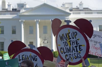 Environmental activists are ramping up a pressure to stoke support for a plan known as the Green New Deal. (Susan Walsh/AP)