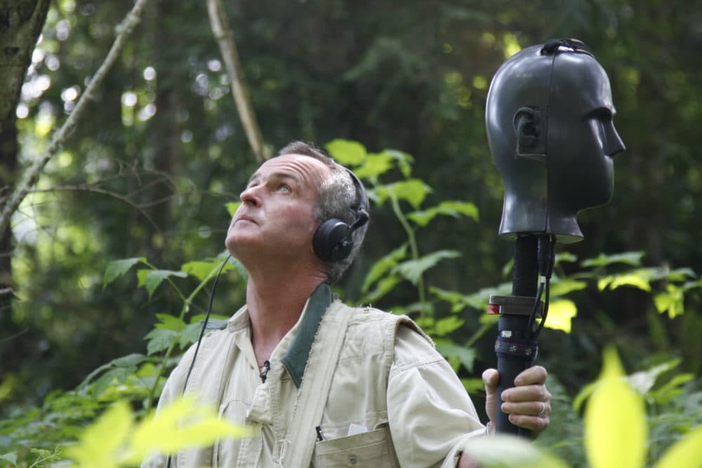Audio ecologist Gordon Hempton (Courtesy of soundtrackerthemovie.com)