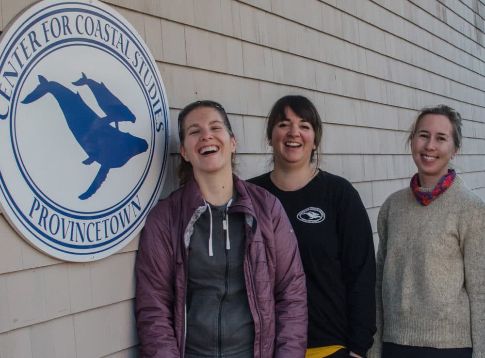 Christy Hudak, Amy James and Brigid McKenna stand outside the Center for Coastal Studies office in Provincetown. (Sharon Brody/WBUR)