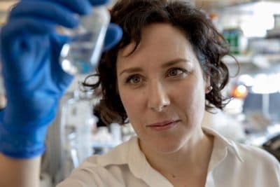 Catherine McCusker, assistant professor of biology, is seen at her lab at UMass Boston. (Robin Lubbock/WBUR)