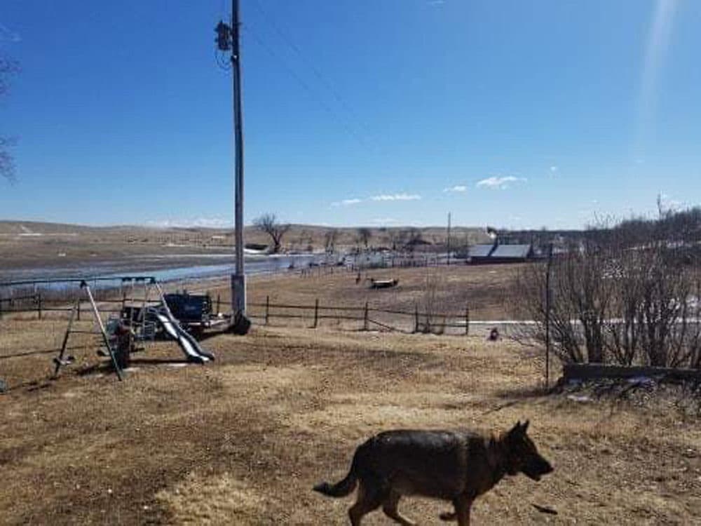 Annette Bloom's farm. (Courtesy of Annette Bloom)
