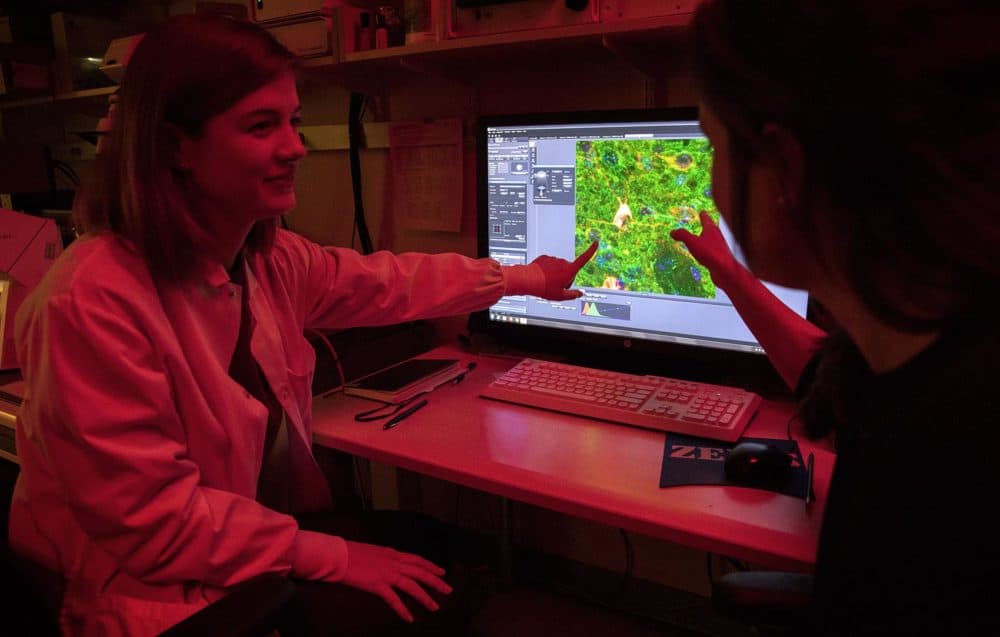 In the red light of a microscope room, Amanda Vernon, left, reviews an image of cells in a mouse brain with MIT professor Myriam Heiman. The $9 million donation includes about $1 million for work in Heiman's lab. (Robin Lubbock/WBUR)