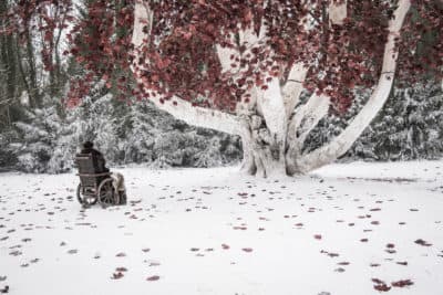 Isaac Hempstead Wright in "Game Of Thrones." (Helen Sloan/HBO)