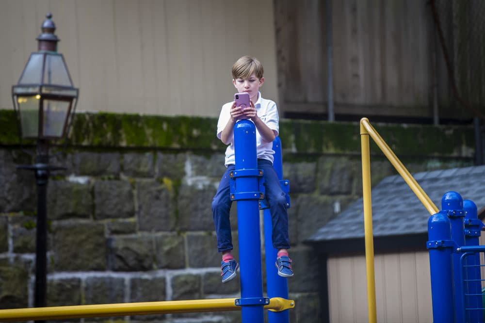 Hutch Walsh looks at a cellphone while on top of a climbing structure at the playground awaiting the unveiling of the "Myrtle The Turtle" statue. (Jesse Costa/WBUR)
