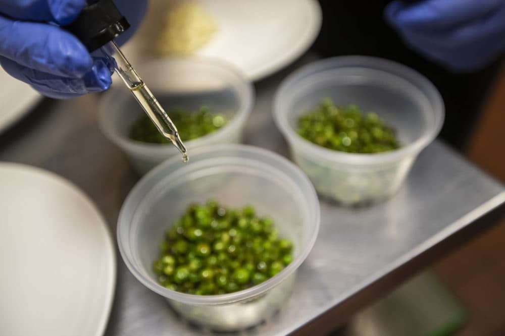 Chef David Ferragamo doses each serving of peas separately using individual containers. (Jesse Costa/WBUR)
