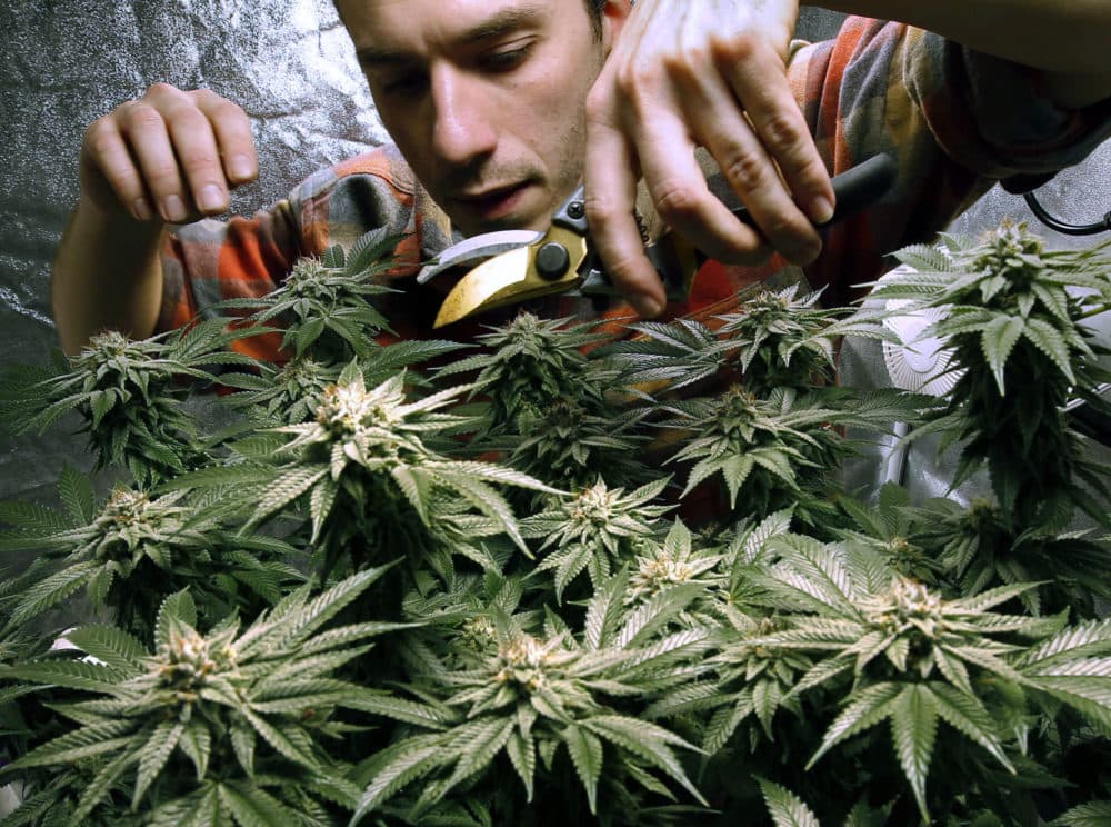 After the movement to legalize marijuana scored several victories in New England, pot proponents have come up against some stumbling blocks in New Hampshire and Vermont. (Robert F. Bukaty/AP)