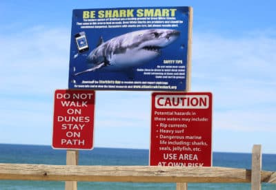 A shark public awareness sign posted at Newcomb Hollow Beach in Wellfleet (Quincy Walters/WBUR)