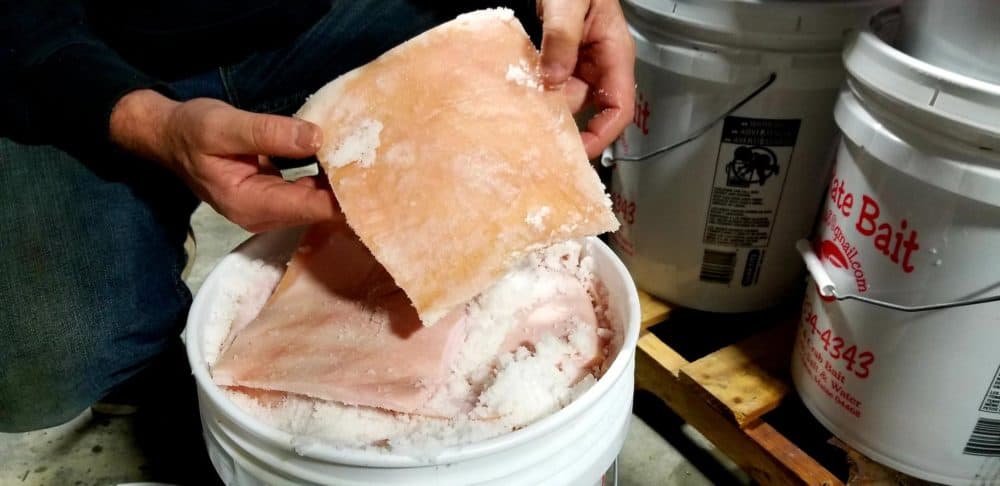 Faulkingham is one of a growing number of lobstermen who have been experimenting with pig hides as bait. (Jennifer Miller/Maine Public)
