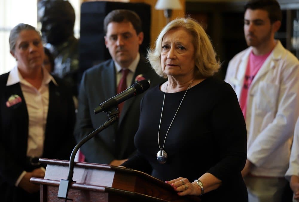 "This is not something that any of us takes lightly," House Speaker Pro Tempore Pat Haddad said at a press conference organized by supporters of the bill prior to the hearing. (Sam Doran/SHNS)