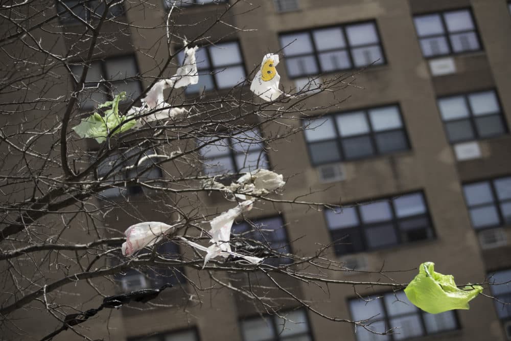 Plastic bags are tangled in the branches of a tree in New York City's East Village neighborhood. (Mary Altaffer/AP)