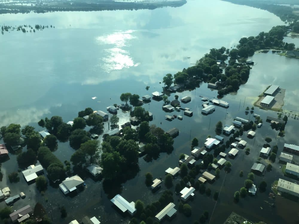 Nearly a quarter million acres of farmland in the Mississippi Delta have been flooded since February. (Peter O'Dowd/Here & Now)