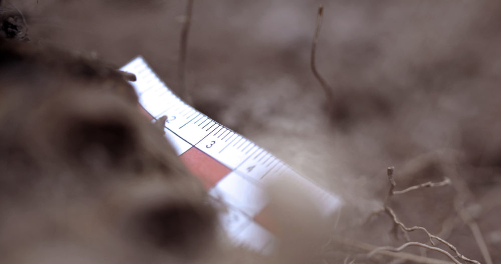 Still from Maya Watanabe's video installation "Liminal" (2019). (Courtesy of 80m2 Livia Benavides gallery and Tegenboshvanbreden gallery)