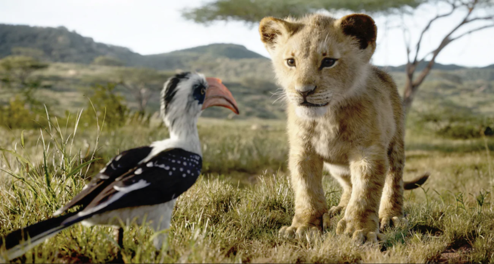 John Oliver voices Zazu and JD McCrary voices Young Simba in the live-action remake of "The Lion King." (Courtesy Disney Enterprises, Inc.)
