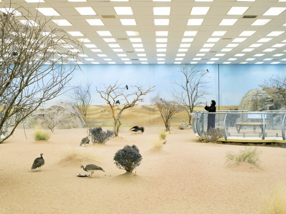 Farah Al Qasimi, "Aviary," 2019. (Courtesy the artist; Helena Anrather, New York; and the Third Line, Dubai)