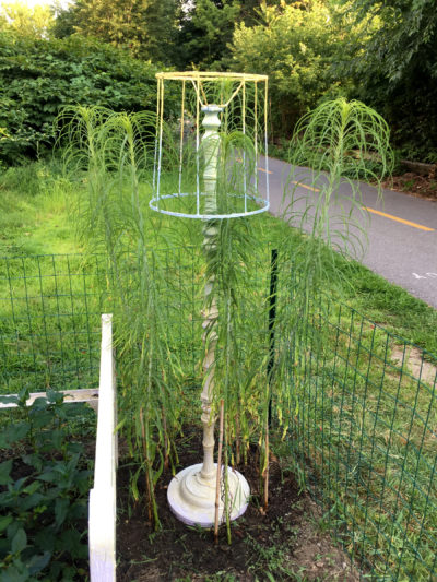 Freedom Baird's "Room To Grow" in Arlington. (Courtesy Arlington Public Art)