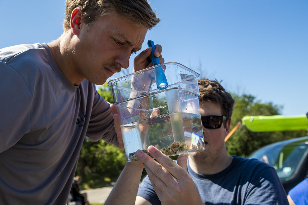 Boston University graduate student Dan Wuitchik holds a container as undergraduate student Greg Pelose get a closer look at the Northern Star coral. (Jesse Costa/WBUR)