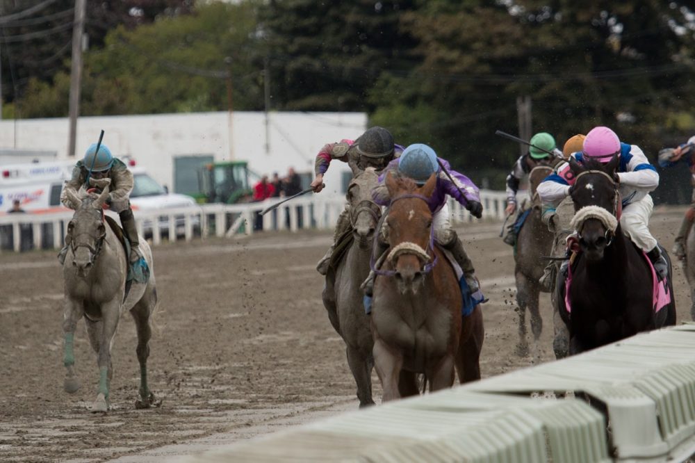 Suffolk Downs, seen here in 2014, held its final live races in late June. A developer wants to bring horse racing to Wareham. (Jesse Costa/WBUR)