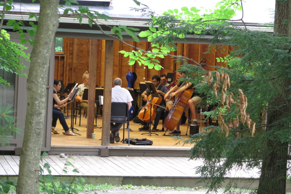 Tanglewood music fellows have been practicing in cabins like this one since the 1940s. (Andrea Shea/WBUR)