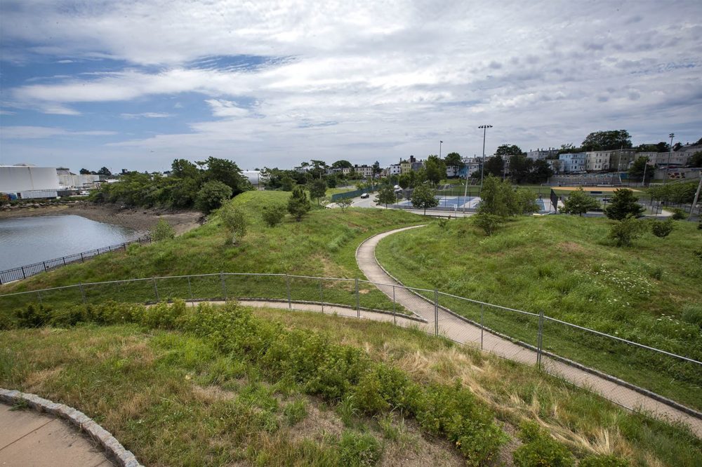 View of American Legion Playground from the Condor Street Urban Wild Park along the Chelsea Creek. (Jesse Costa/WBUR)