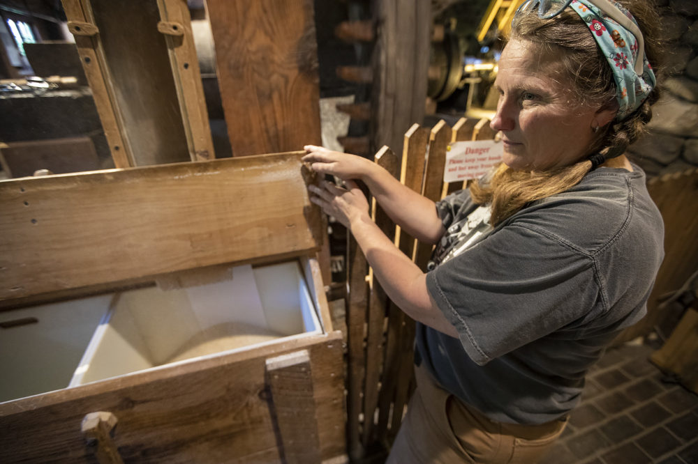 Kim VanWormer opens the storage bin to show the milled white cap flint corn. (Jesse Costa/WBUR)