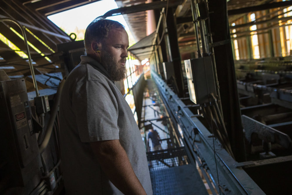 Trevor Allard stands in the Allard Lumber sawmill. His father, Cliff, co-founded Allard Lumber 45 years ago with his brother. (Jesse Costa/WBUR)