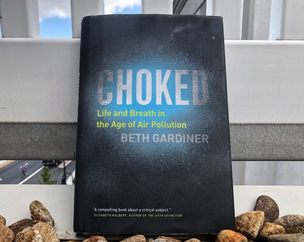 "Choked: Life and Breath in the Age of Air Pollution" by Beth Gardiner (Allison Hagan/Here & Now)